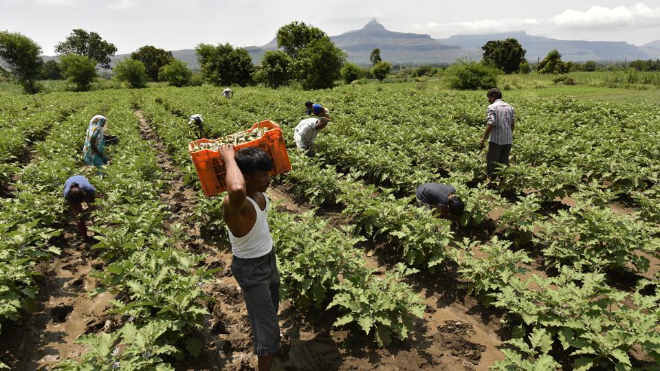 जाणीव विकासासाठी शेती आधारीत जीवनशैली